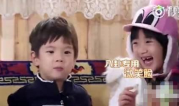 娱乐圈吃瓜八卦直播视频,直播视频中的吃瓜八卦风云录